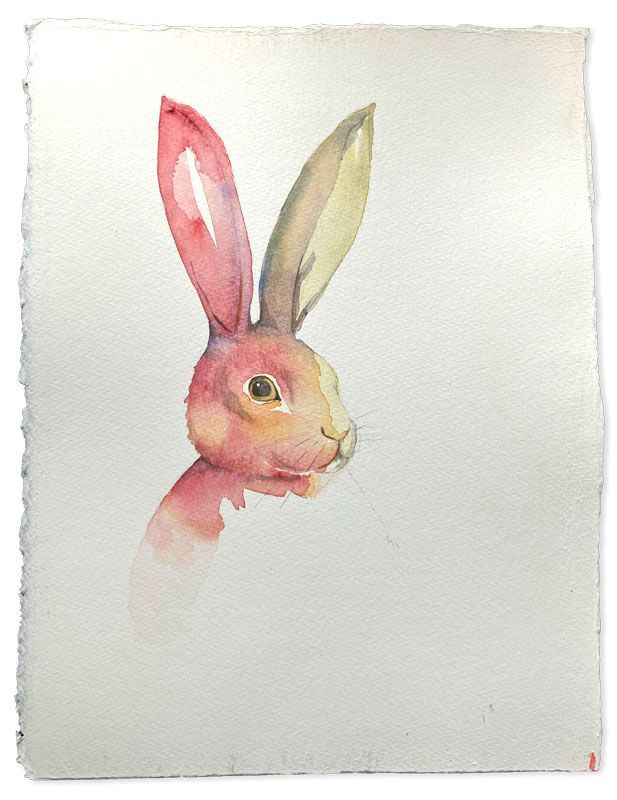 Rodger Rabit (Originalverk)
