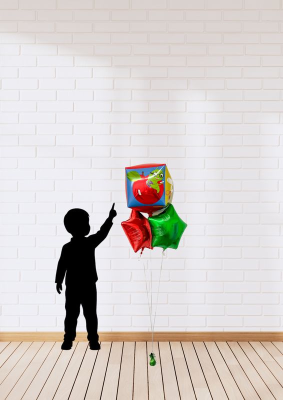 BTS  Helium Balloon Bouquet