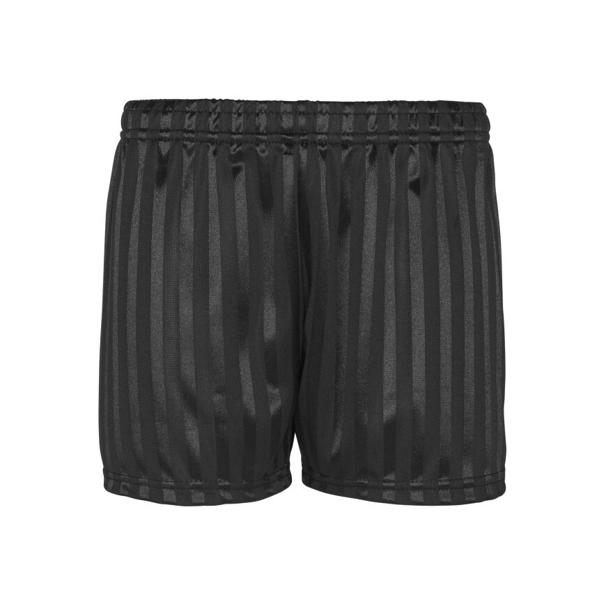 Shadow Stripe Shorts