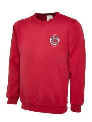 Bro Plenydd - Sweatshirt