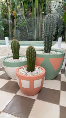 Custom Coloured Pots