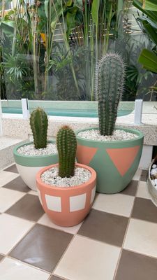 Sonoran Collection