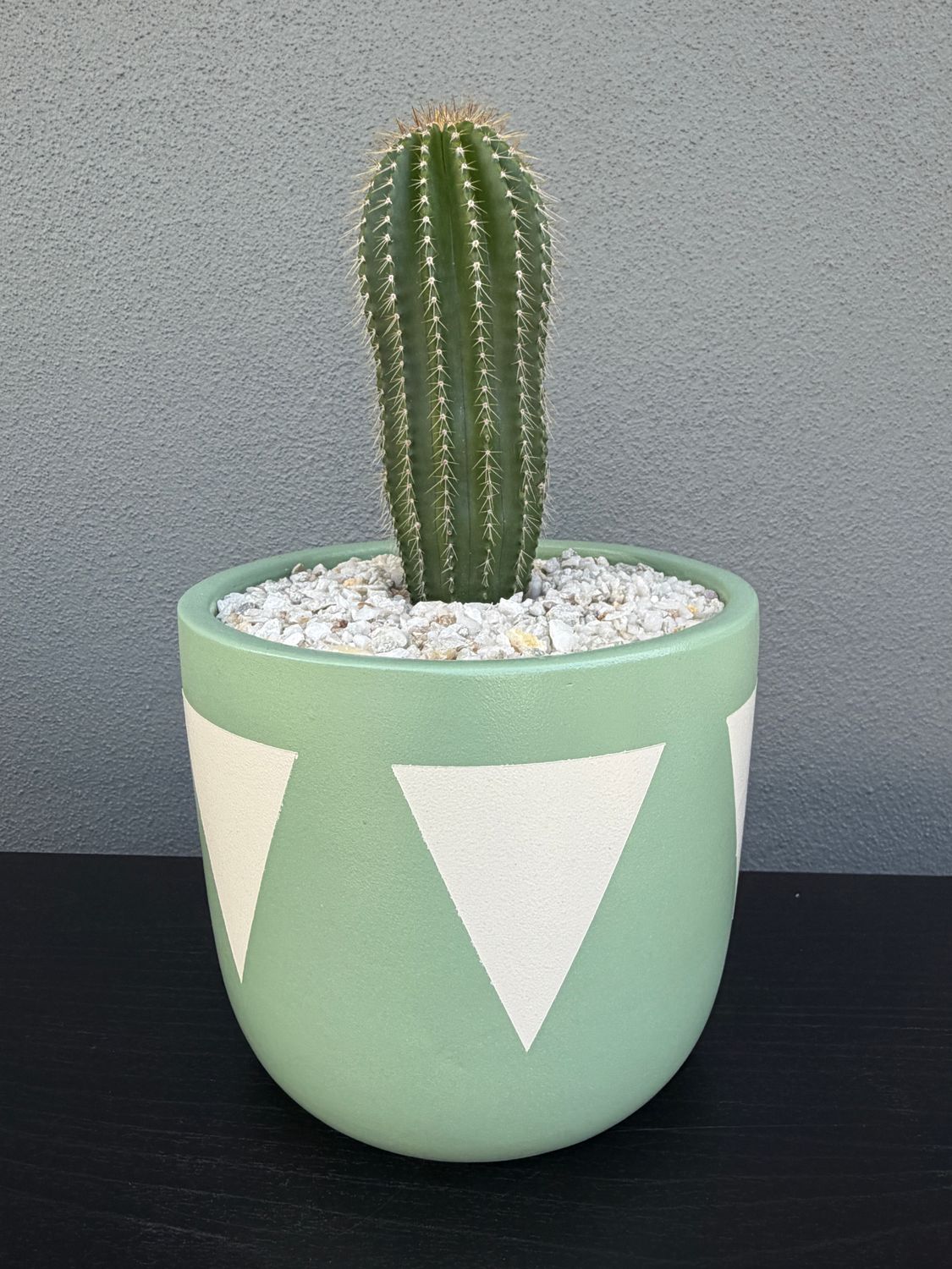 Sonoran Collection - Mini 002