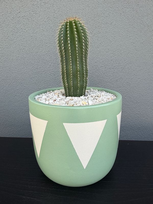 Sonoran Collection - Mini 002