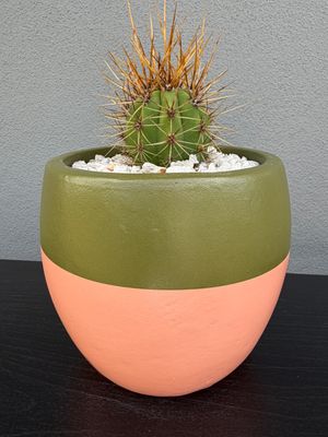 Sienna Collection - Mini 001