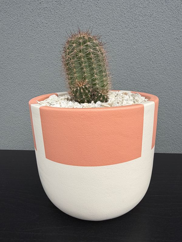 Sienna Collection - Mini 002