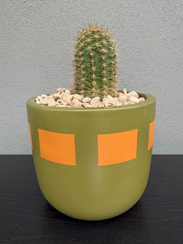 Mojave Collection - Mini 001