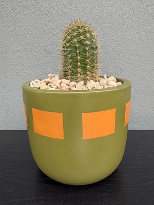 Mojave Collection - Mini 001