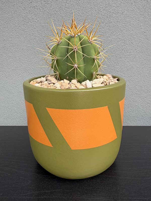Mojave Collection - Mini 002