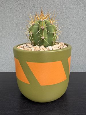 Mojave Collection - Mini 002
