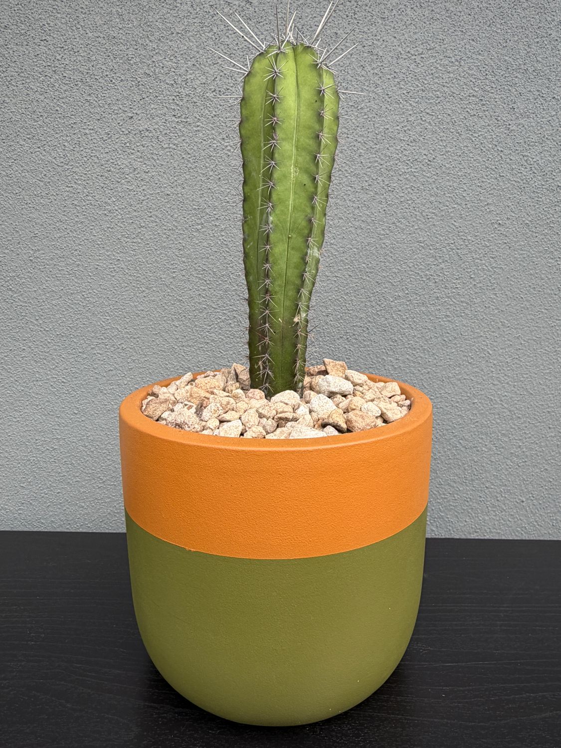 Mojave Collection - Mini 003