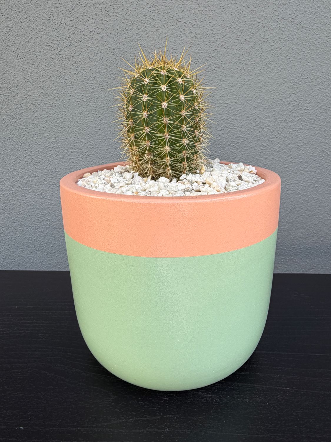 Sonoran Collection - Mini 001