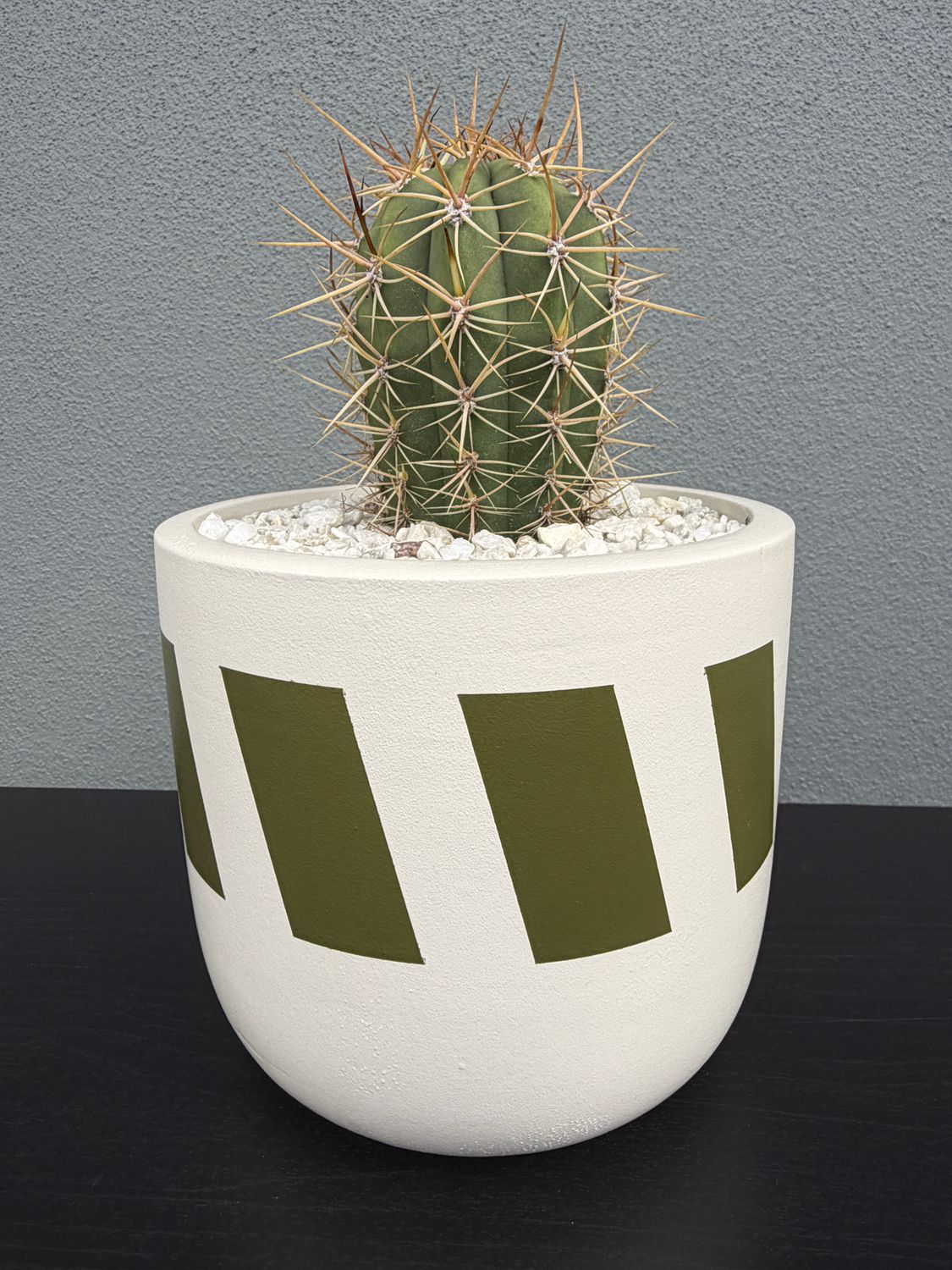 Sienna Collection - Mini 003