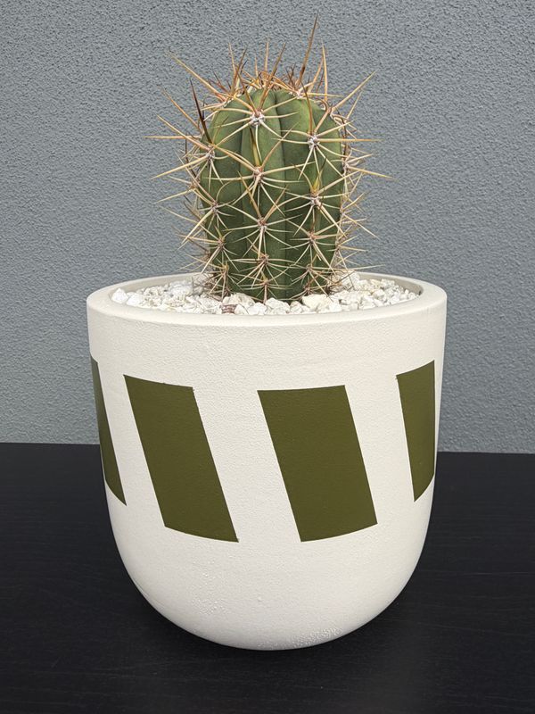 Sienna Collection - Mini 003