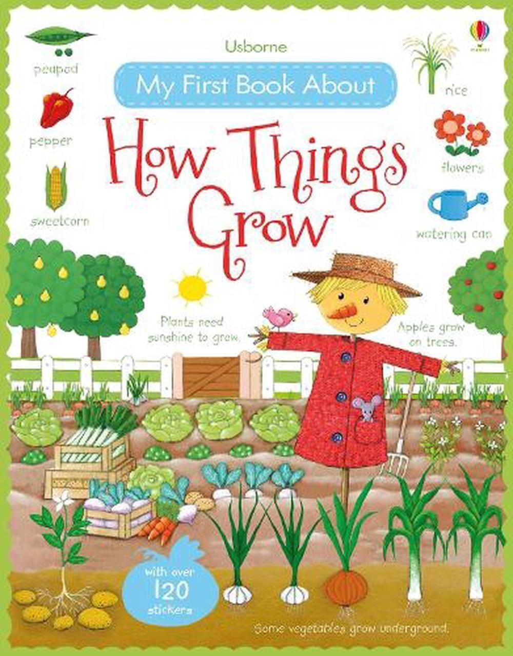 Usborne My First Book About How Things Grow