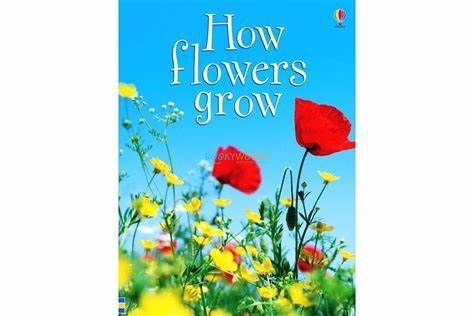 Usborne Beginners- How Flowers Grow