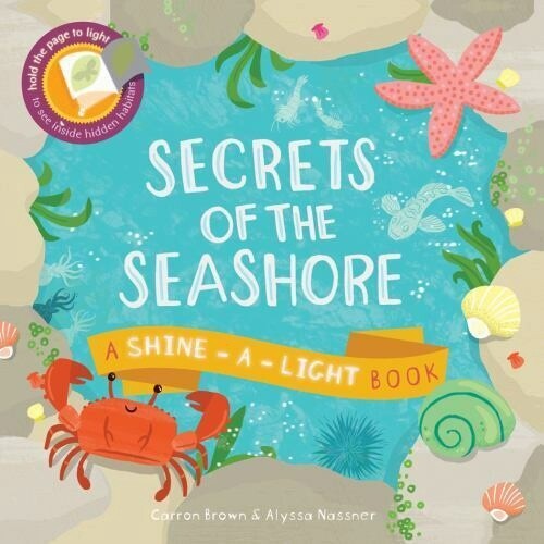 Usborne Shine a Light Book- Secrets of the Seashore