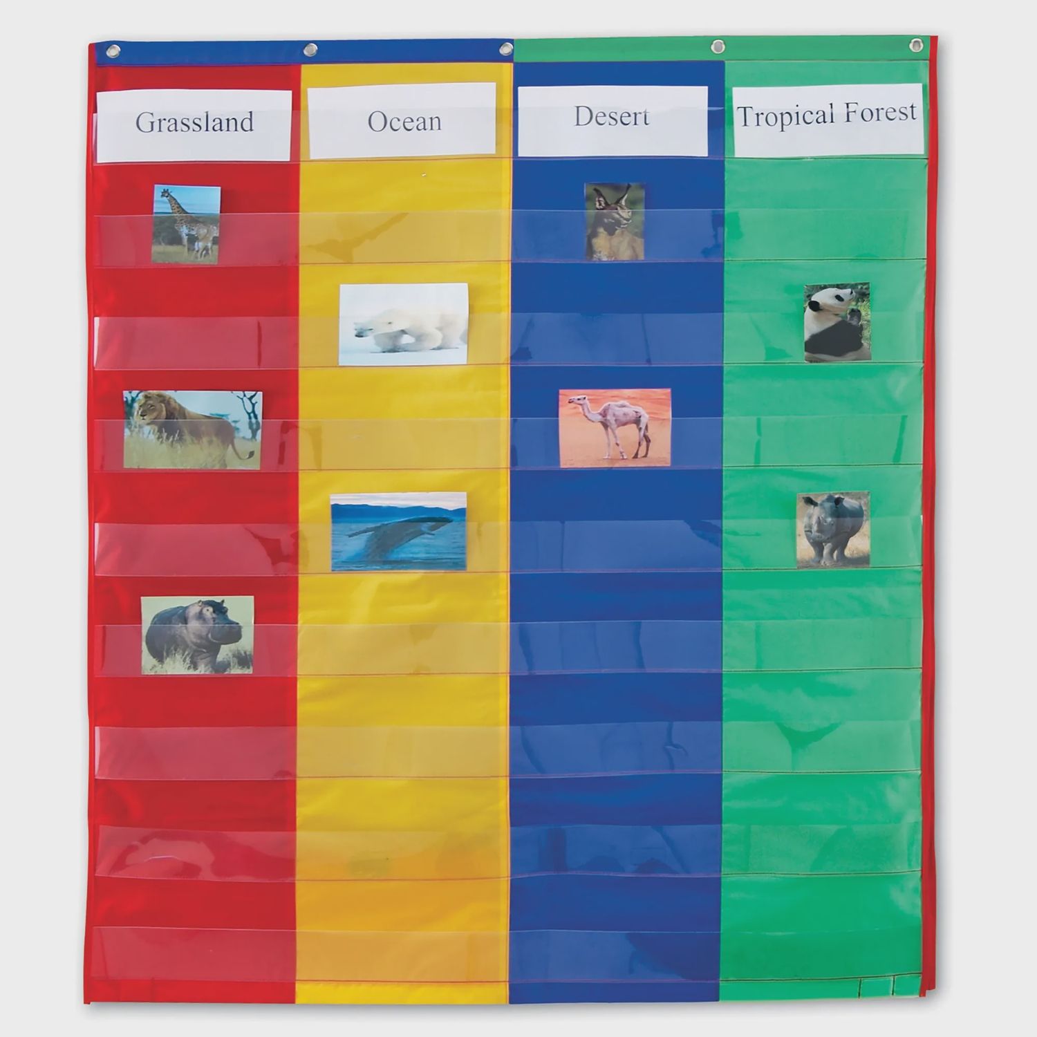 2- &amp; 4-Column Double-Sided Pocket Chart
