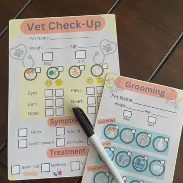 Ash&amp;Addie Vet Play Set
