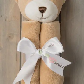 Animal Banky- Bear