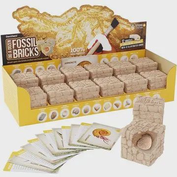 Dig a Dozen- Fossil Bricks