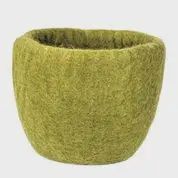 Felt Pot- Cozy Moss