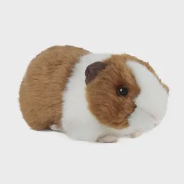 Living Nature Brown Guinea Pig