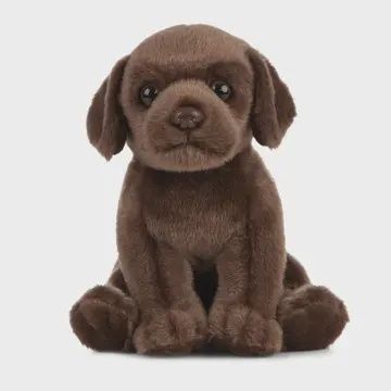 Living Nature Chocolate Lab Puppy