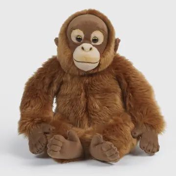 Living Nature Orangutan