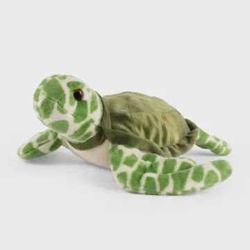 Living Nature Sea Turtle