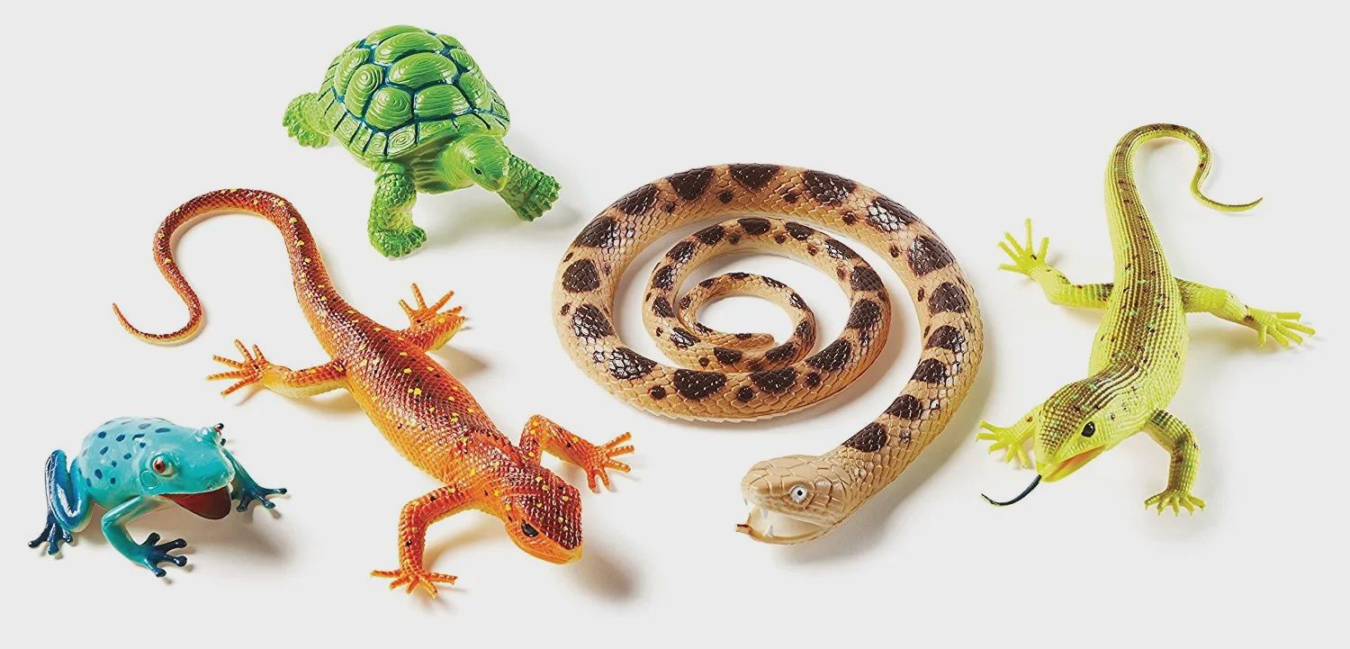 Jumbo Reptiles and Amphibians