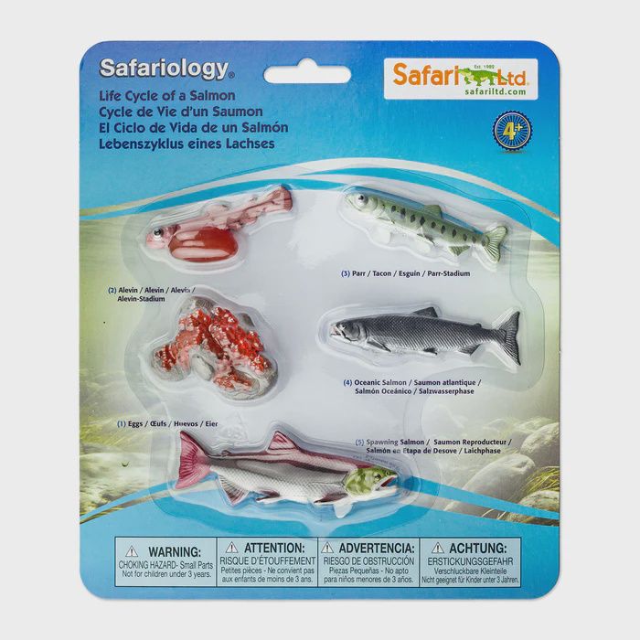 Safari Ltd- Safariology- Life Cycle of a Salmon