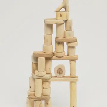 Bark-less Tree Blocks 36pcs