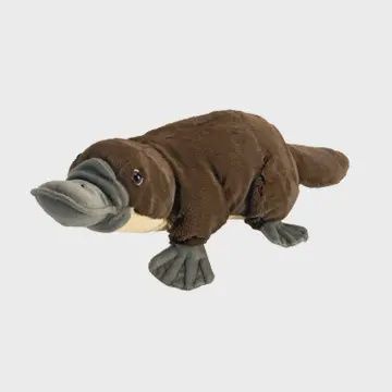 Ck Platypus Stuffed Animal 12&quot;