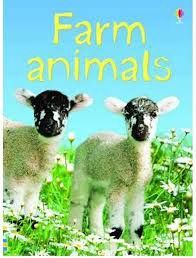 Usborne Farm Animals