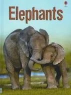 Usborne Elephants