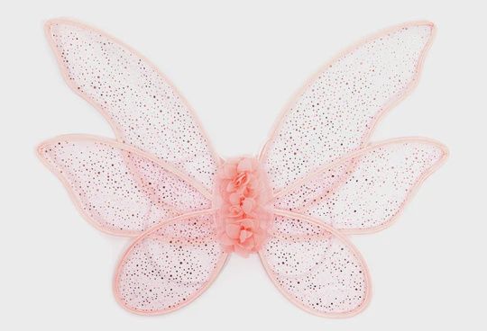 Garden Fairy Wings