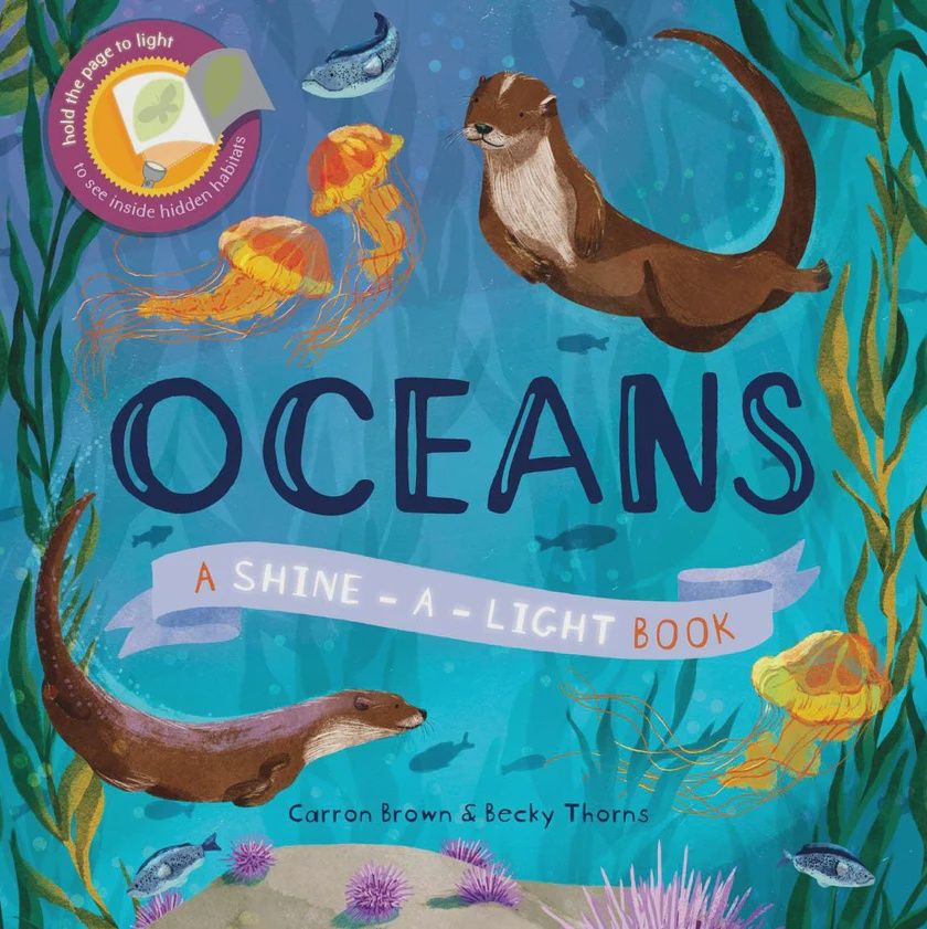 Shine-a-Light Oceans