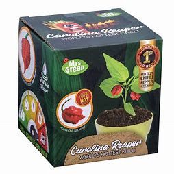 Grow your own Carolina Reaper