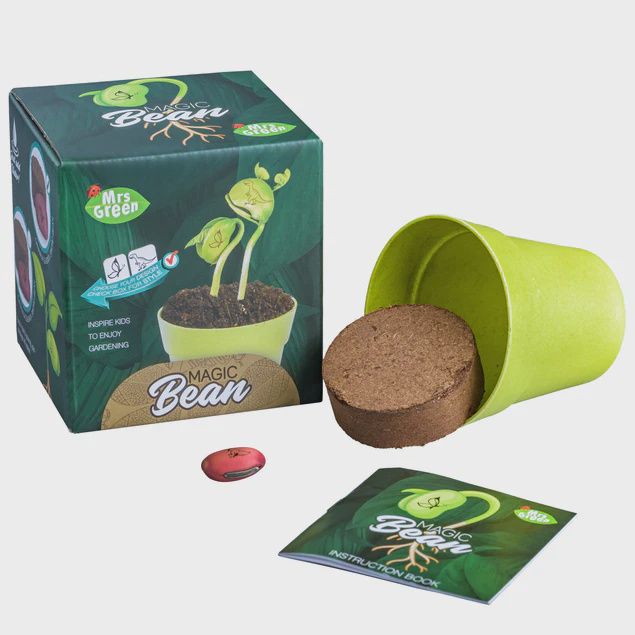 Grow your own Magic Bean
