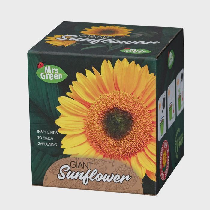 Grow your own Sunflower