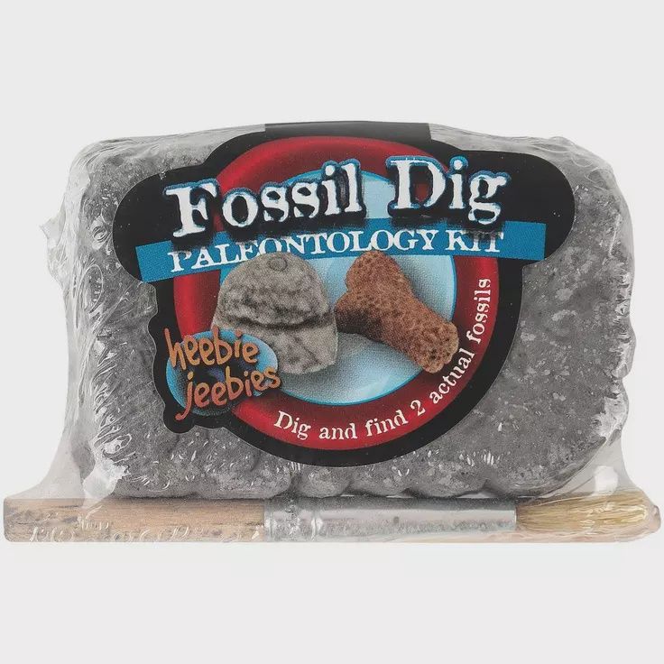 Fossil Dig