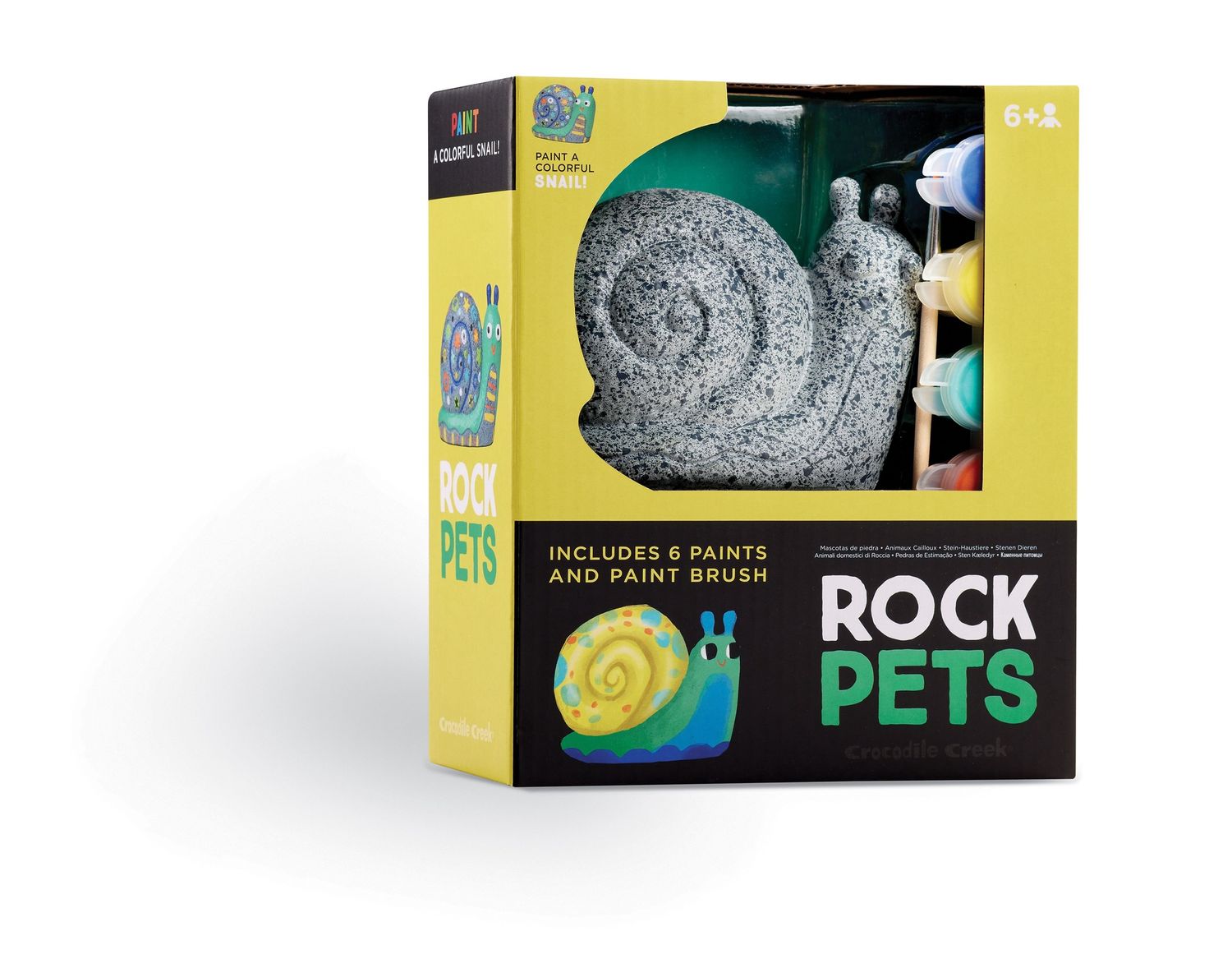 Pet Rock- Snail