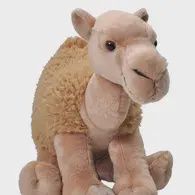 Ck Camel Dromedary Stuffed Animal 12&quot;
