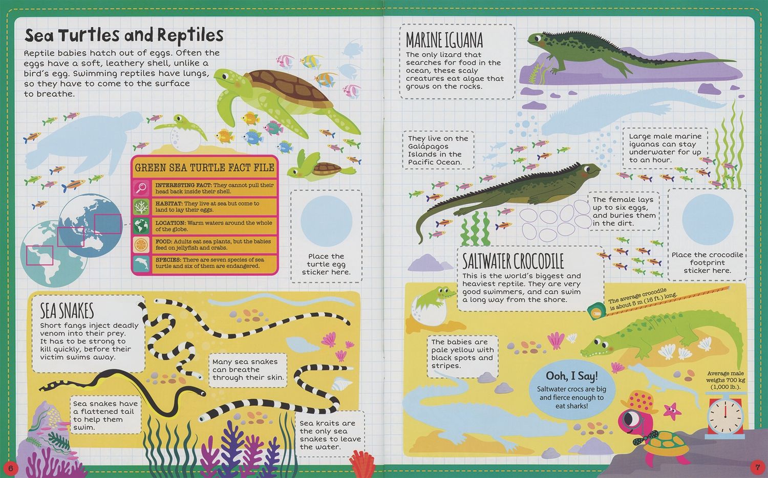 Ocean Sticker Facts