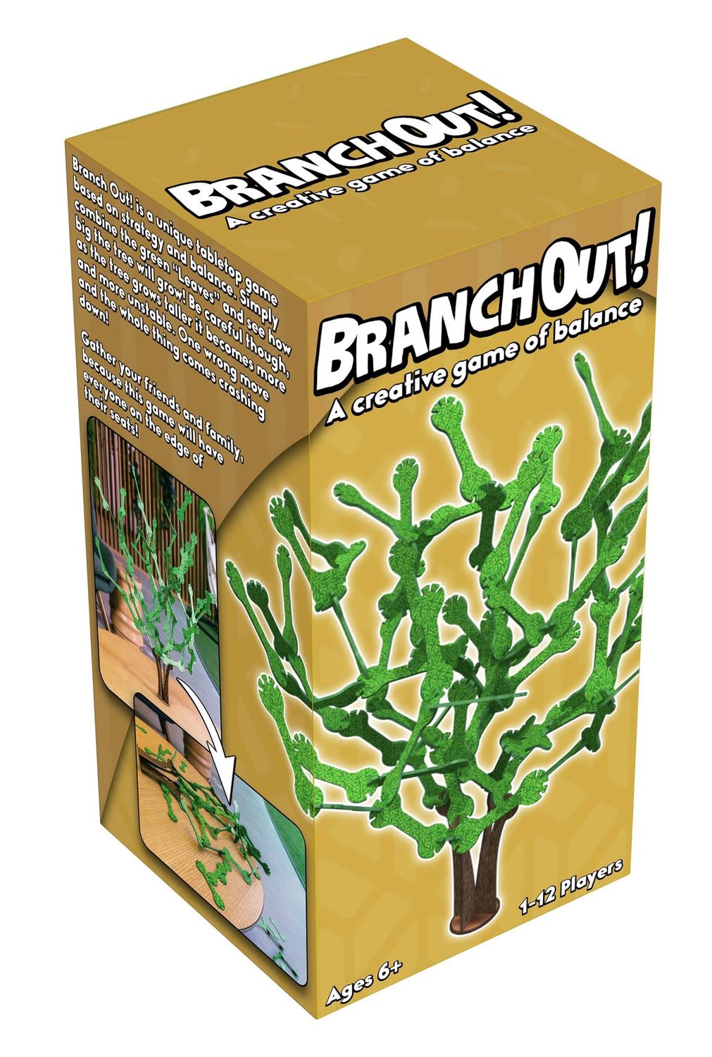 Branch Out!