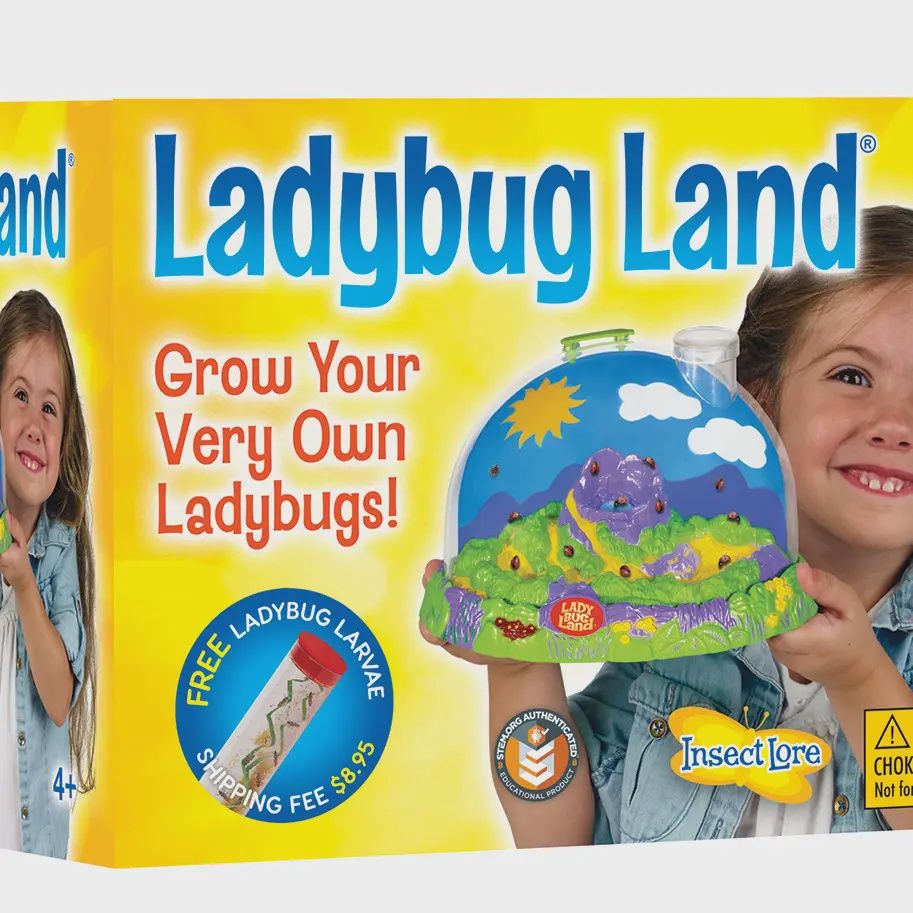 Ladybug Land