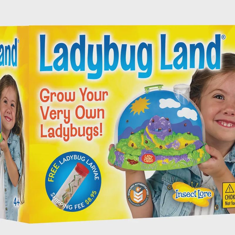 Ladybug Land