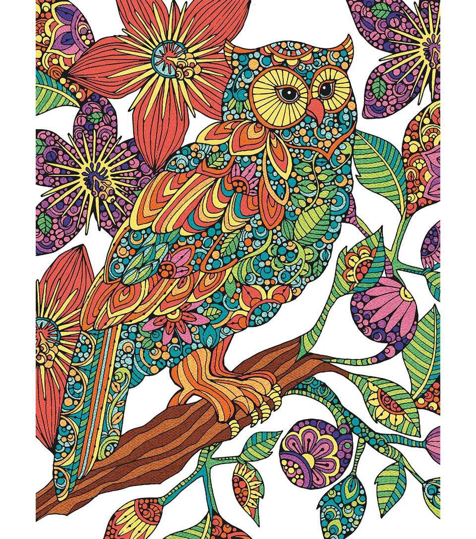 Dimensions 9&quot; x 12&quot; Pencil Works Color By Number Kit 15ct