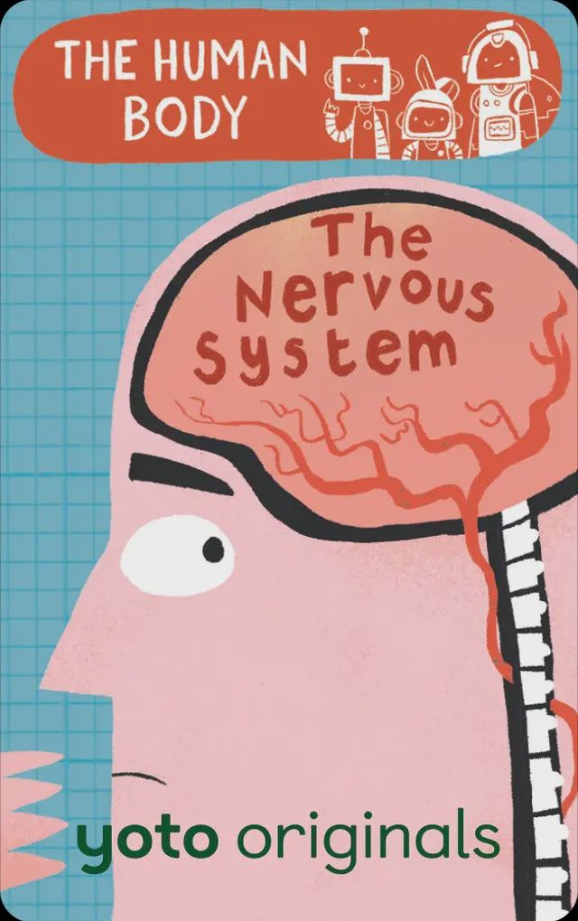 BrainBots: The Human Body